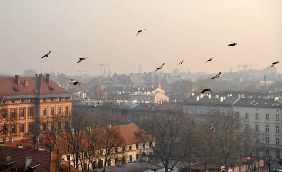 M. Wassermann zapowiada powołanie wiceprezydenta ds. walki ze smogiem