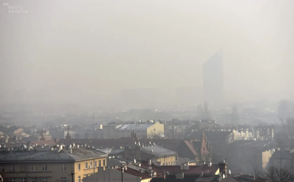 Dlaczego palenie śmieci jest szkodliwe – wyjaśnia alergolog