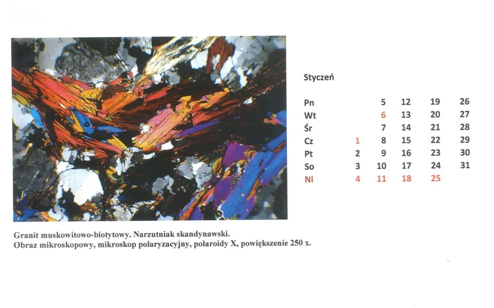 Audycja z dn. 4.01.2015 r.