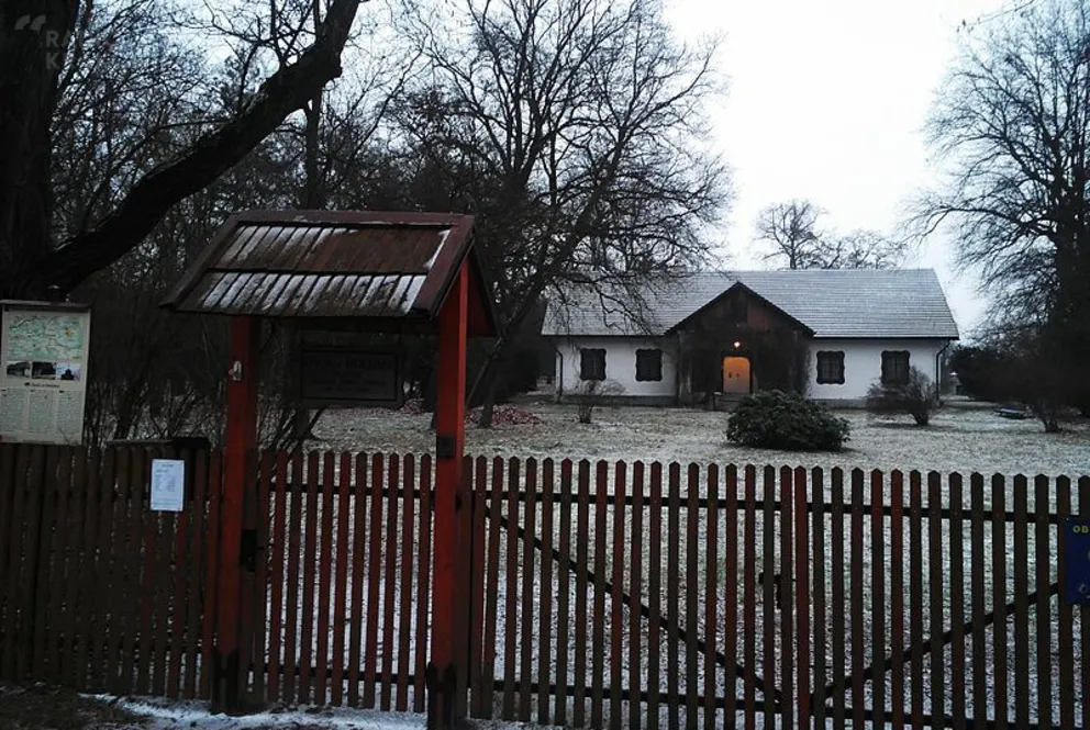 Audycja z dnia 22.01.2017 r.