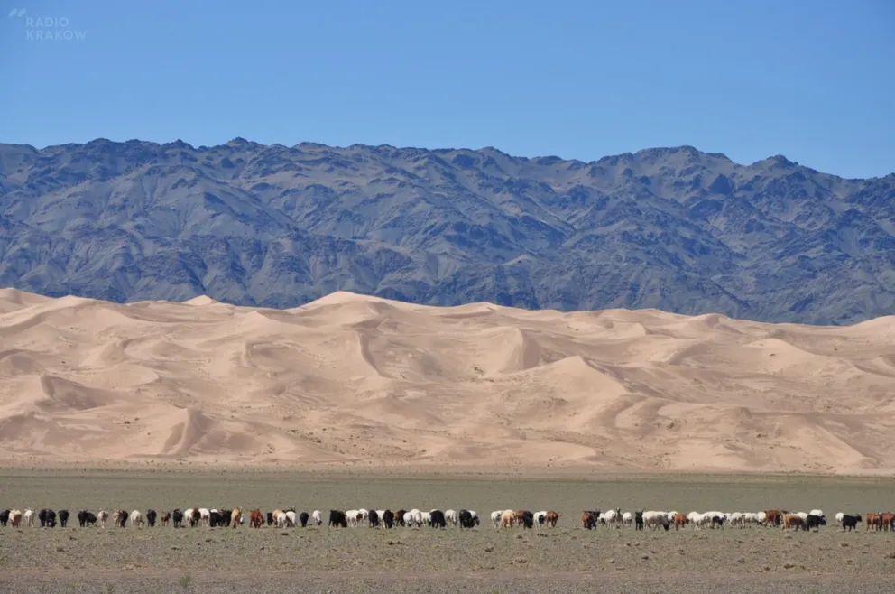 Z Marcelem Kwaśniakiem do Mongolii