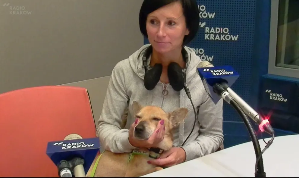Życie po adopcji