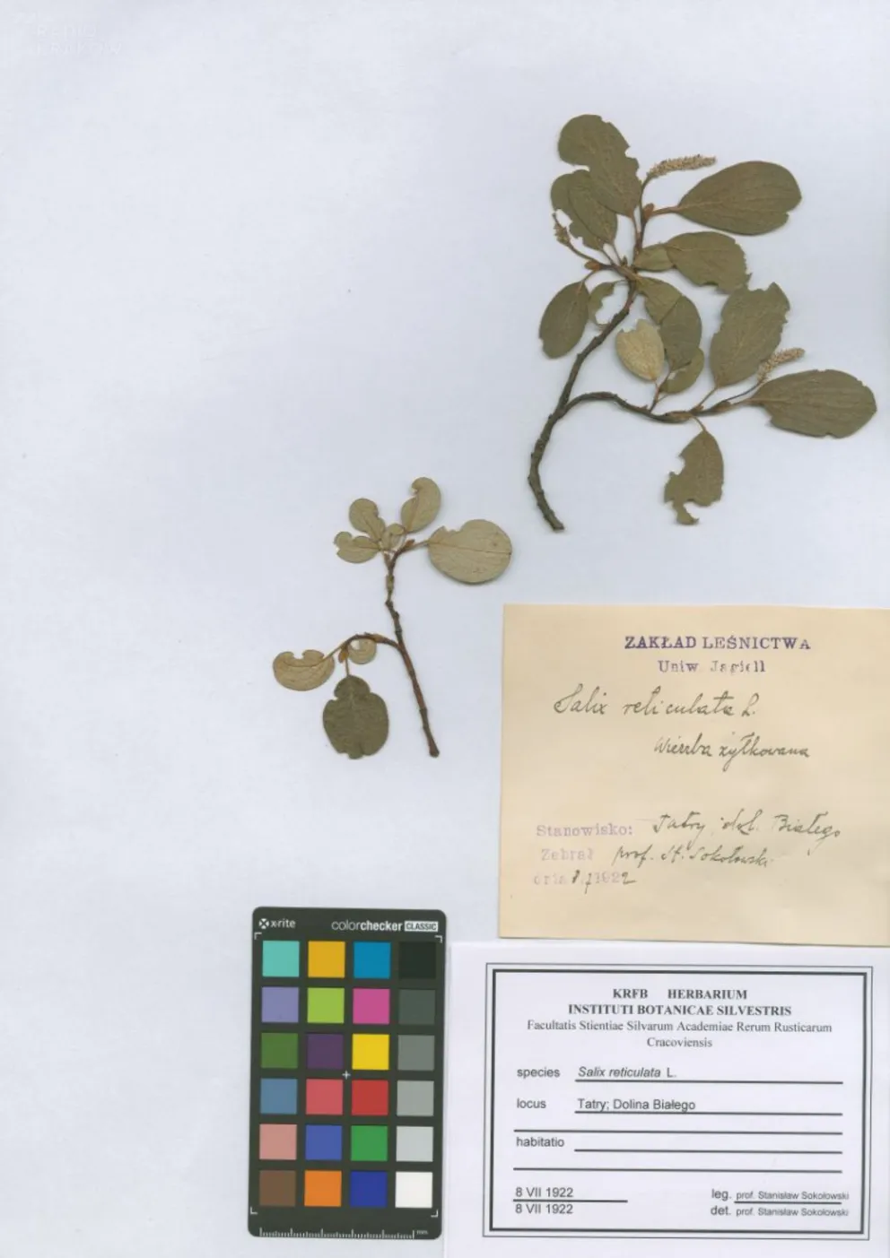 Herbarium w geoportalu