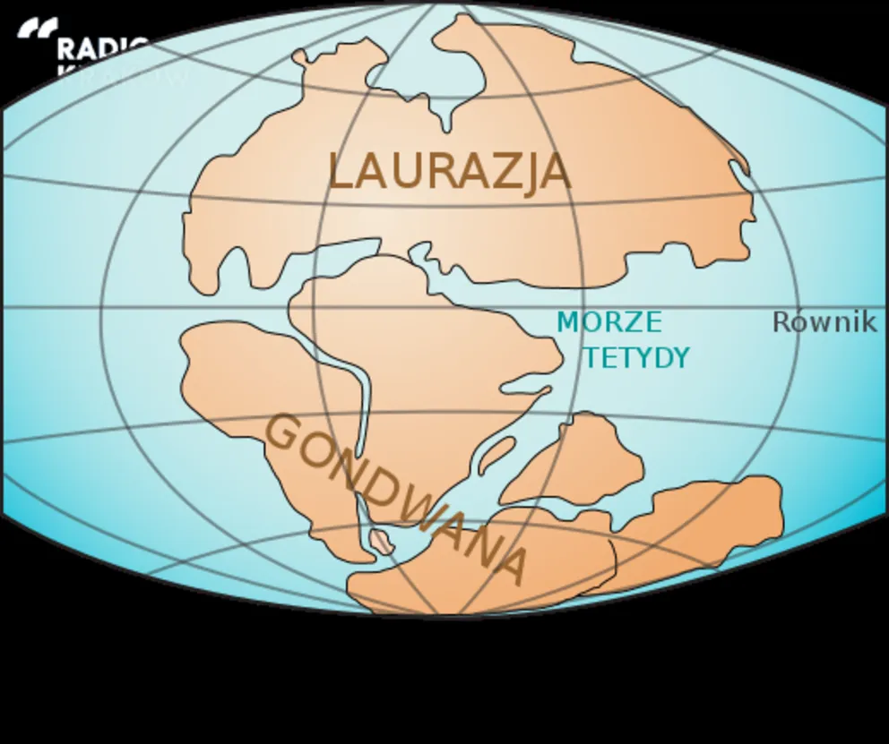 Audycja z dn.1.03.2020 r.
