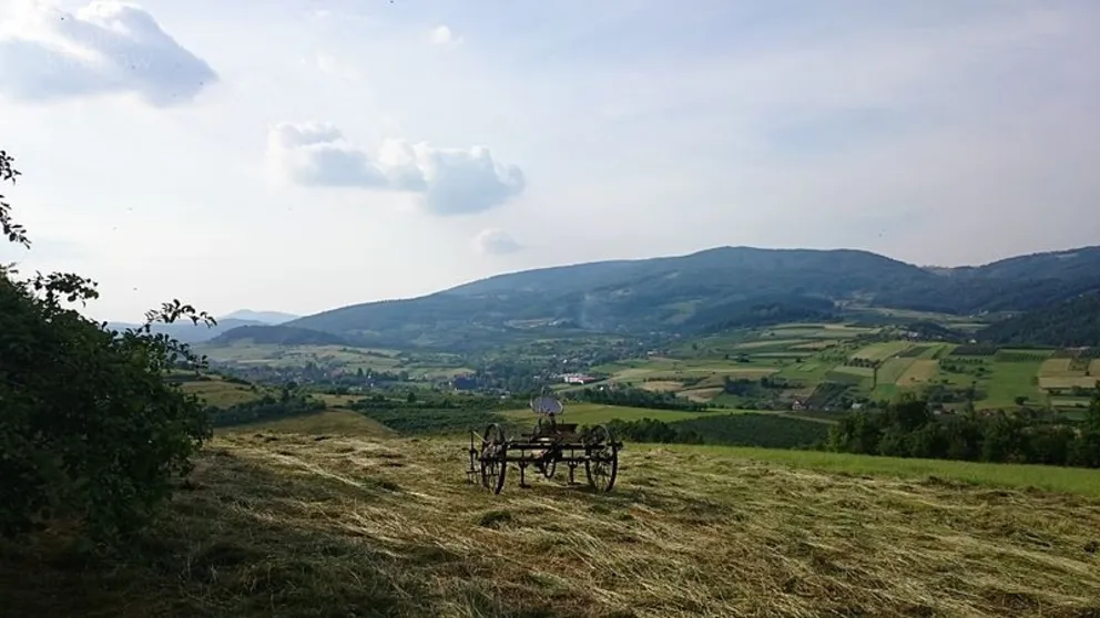 Audycja z dn. 16.05. 2021 r.