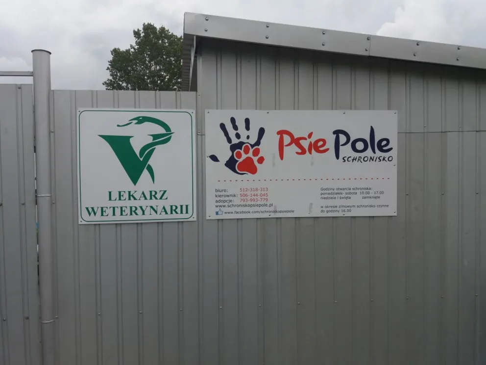 Z wizytą w schronisku Psie Pole