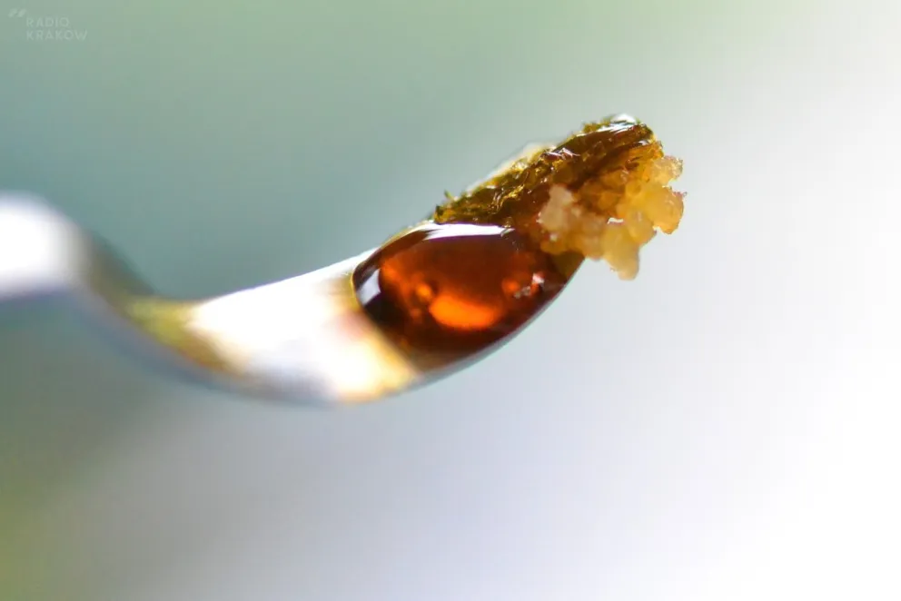 "Spicefrenia" - nowa choroba wywołana zażywaniem syntetycznej marihuany