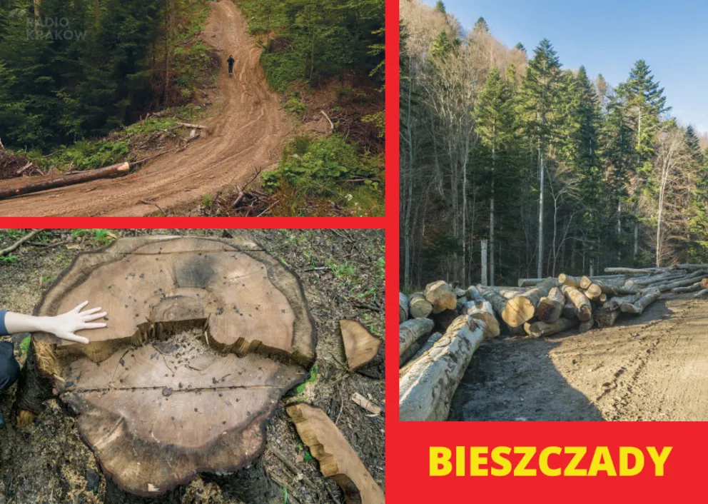 "Dzikie Karpaty" - reportaż Ewy Szkurłat