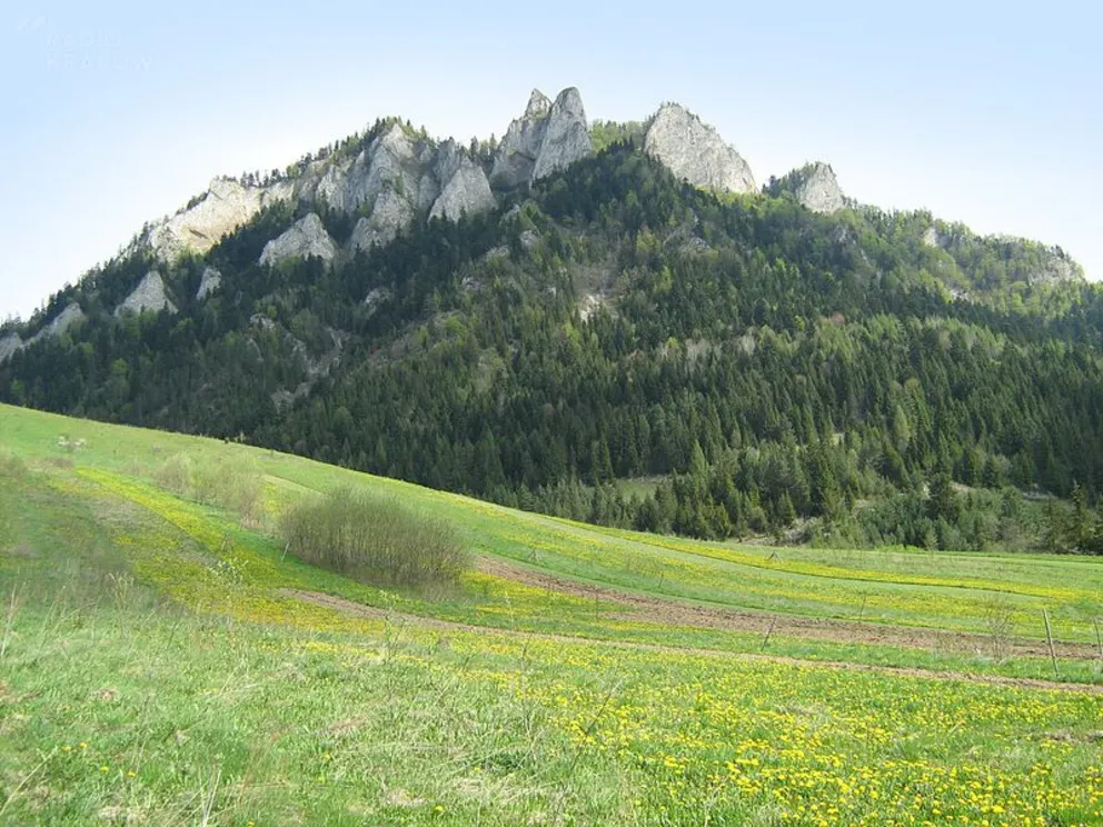 Audycja z dn.2.08.2020 r.