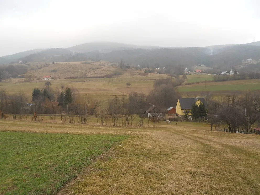 Audycja z dn.12.01.2020r.