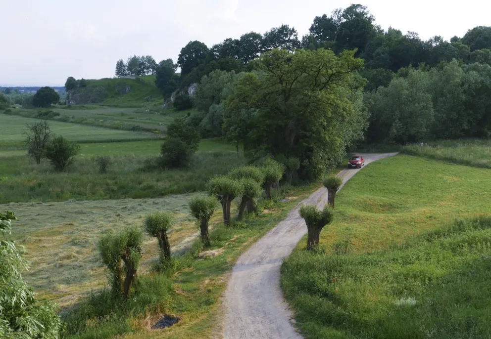 Slow driving  - antyteza plażingu i parawaningu