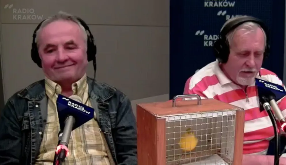 Kanarkowo w "Klinice zdrowego chomika"