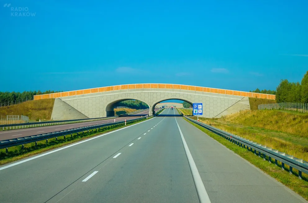 Polskie autostrady są bardzo niebezpieczne