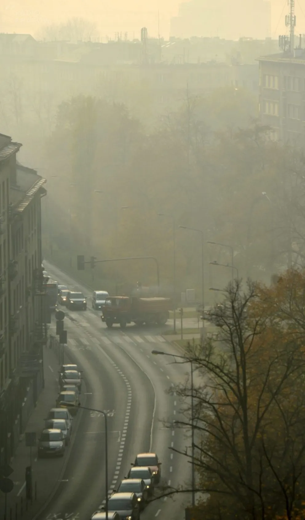 Polska potęga motoryzacyjna, czyli... kupujemy coraz więcej samochodów