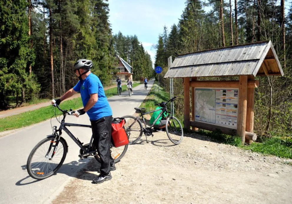 Ubezpieczenie dla rowerzysty
