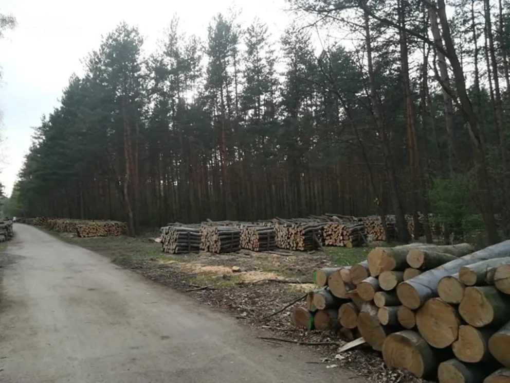 Zakaz wstępu do małopolskich lasów odwołany!