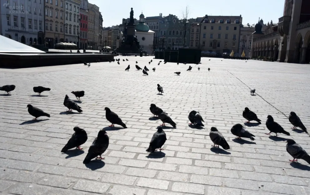 Już 1221 osób zakażonych koronawirusem. 26.03.2020. RELACJA