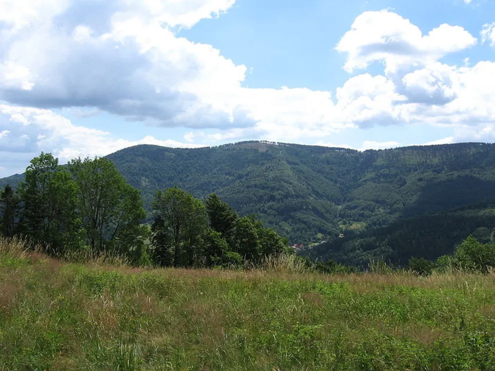 Audycja z dn. 13.06.2021 r.