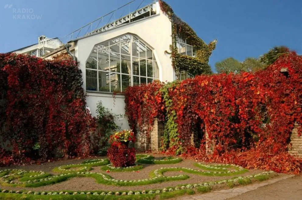 Ogród Botaniczny Uniwersytetu Jagiellońskiego (zdjęcia dzięki uprzejmości władz placówki)