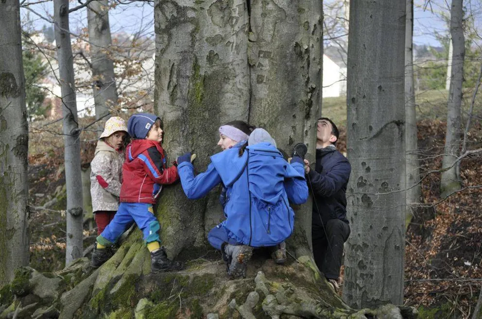 Dzieci i natura – o leśnych przedszkolach