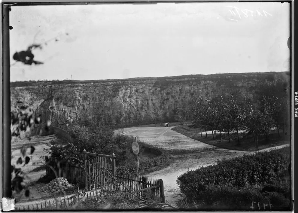 Park Bednarskiego