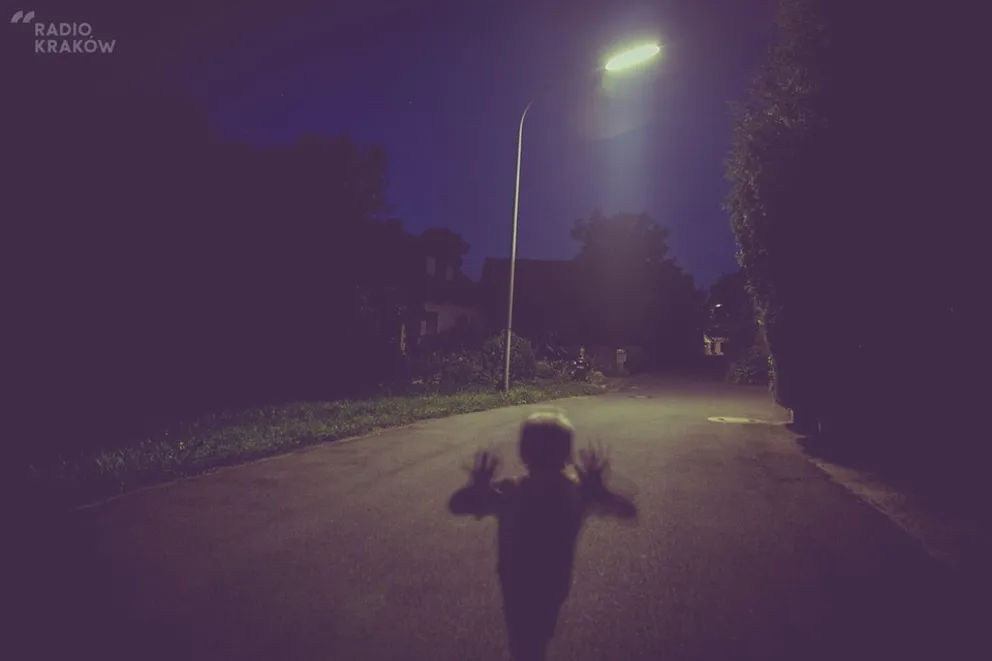 Czy Polacy lubią kino grozy?
