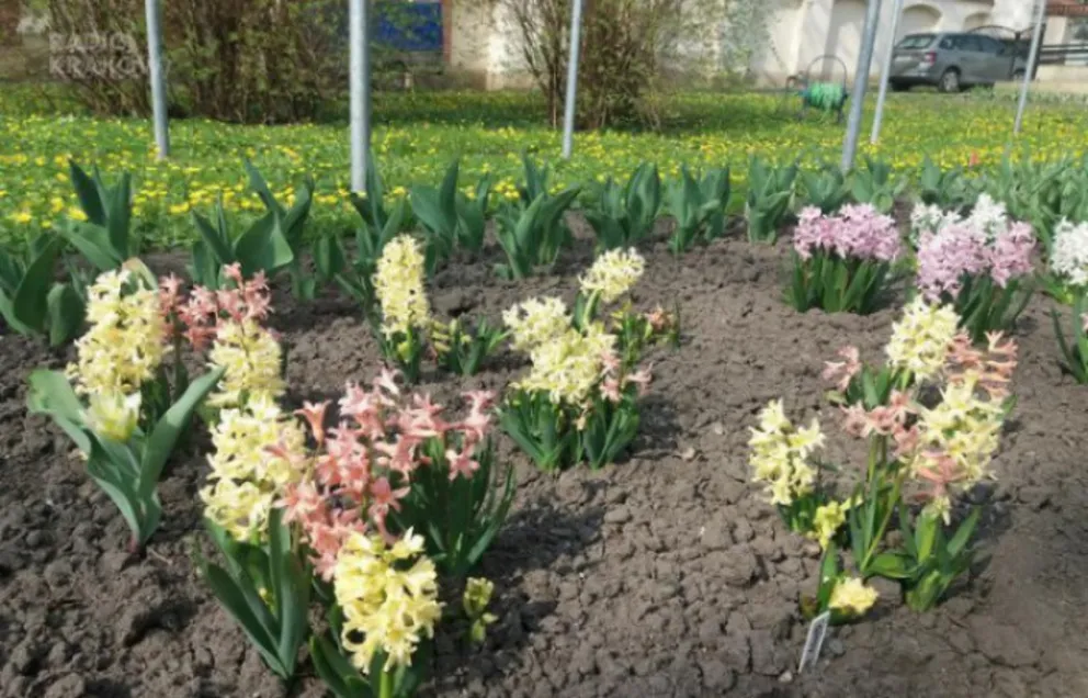 Ogród Botaniczny zaprasza