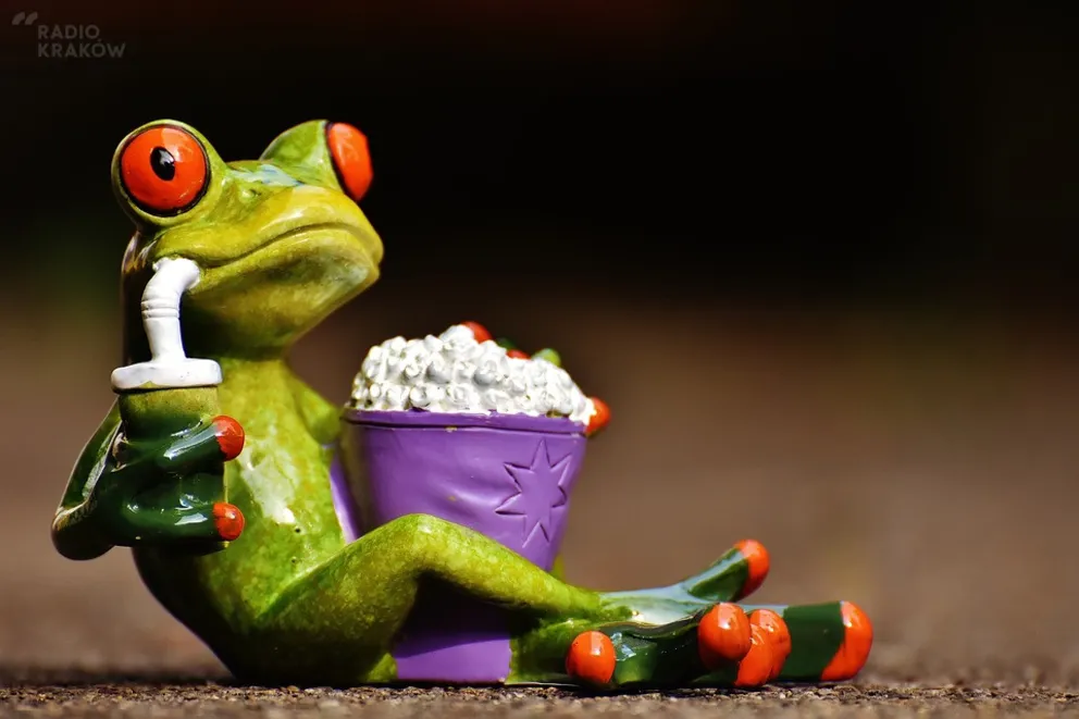 Festiwal Filmowy dla dzieci i Młodzieży Kinolub