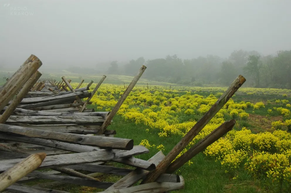 Turystyka historyczna