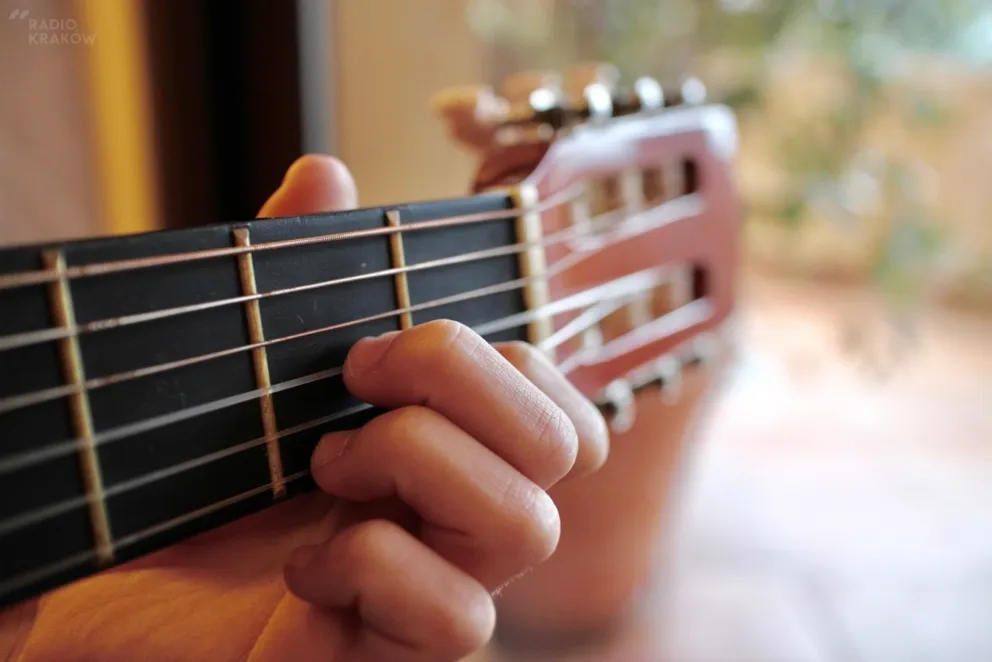 Gitara, pianino i żółw