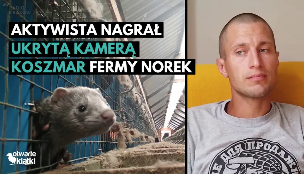 Śledztwo na piątkę dla zwierząt
