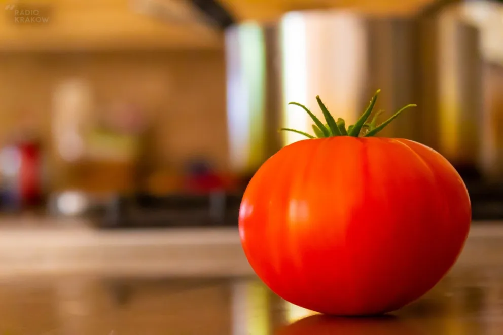 Żywność GMO jest bezpieczna