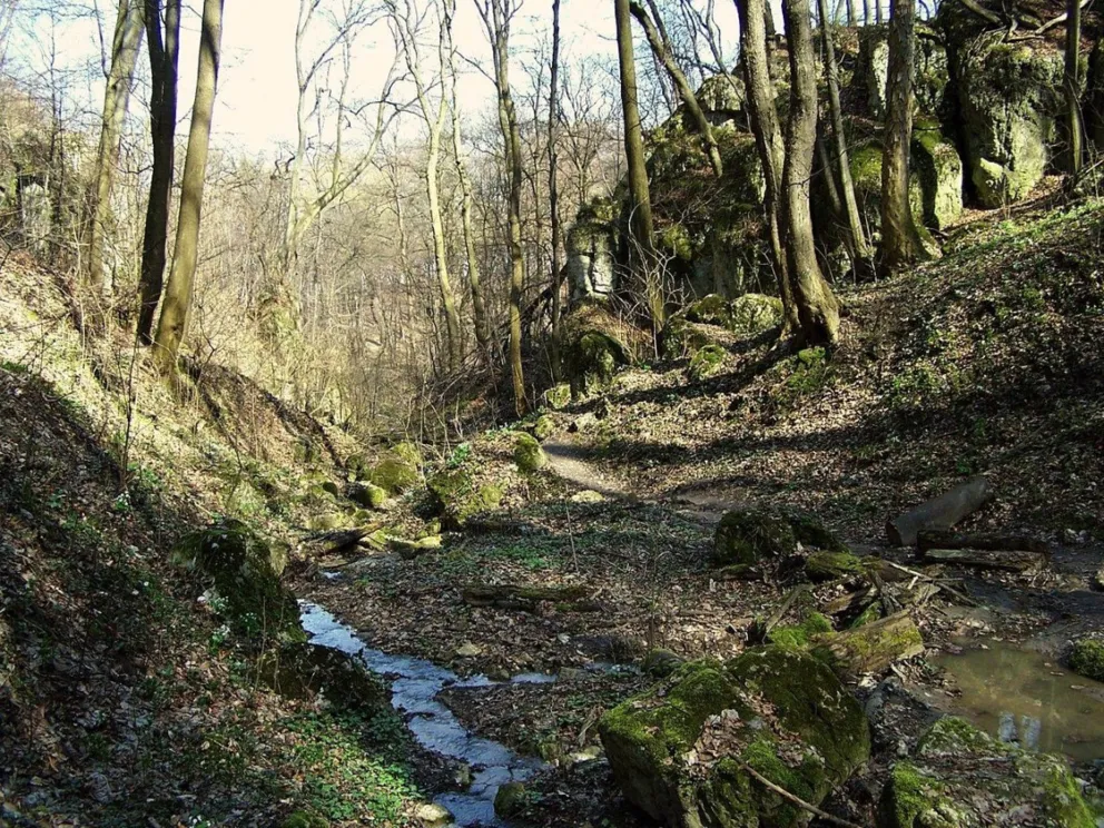 Krakowska zimowa kraina
