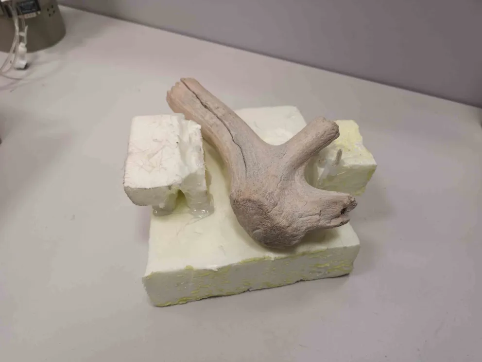 Artefakt z paleolitu zbadany na AGH