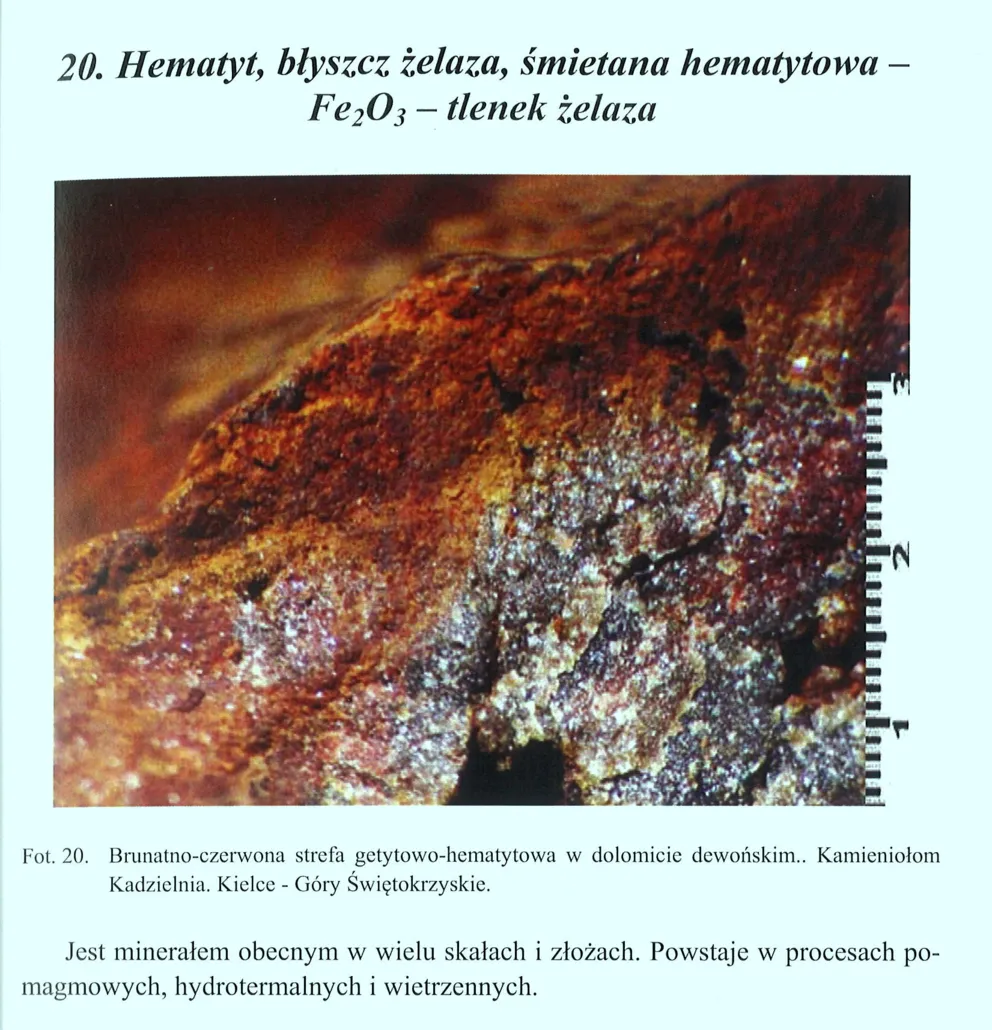 W kręgu nauki Audycja z dn. 3.07. 2021 r.