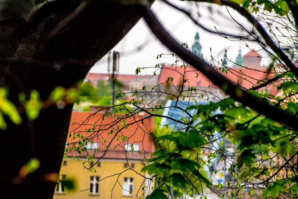 125. rocznica otwarcia Parku im. Wojciecha Bednarskiego 
