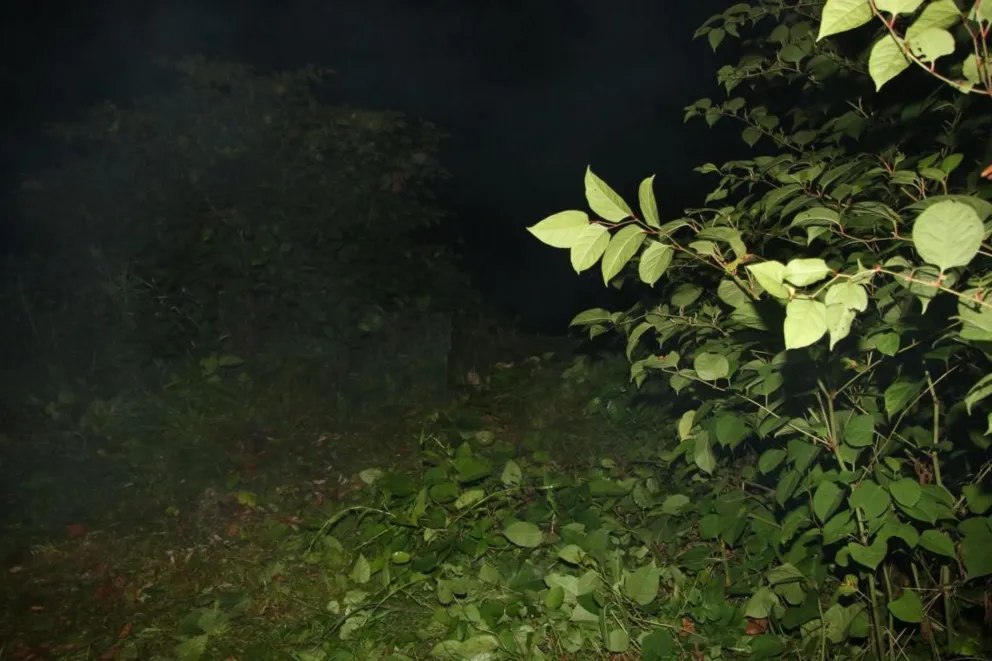 Tragiczny finał poszukiwań 69-letniej mieszkanki okolic Oświęcimia