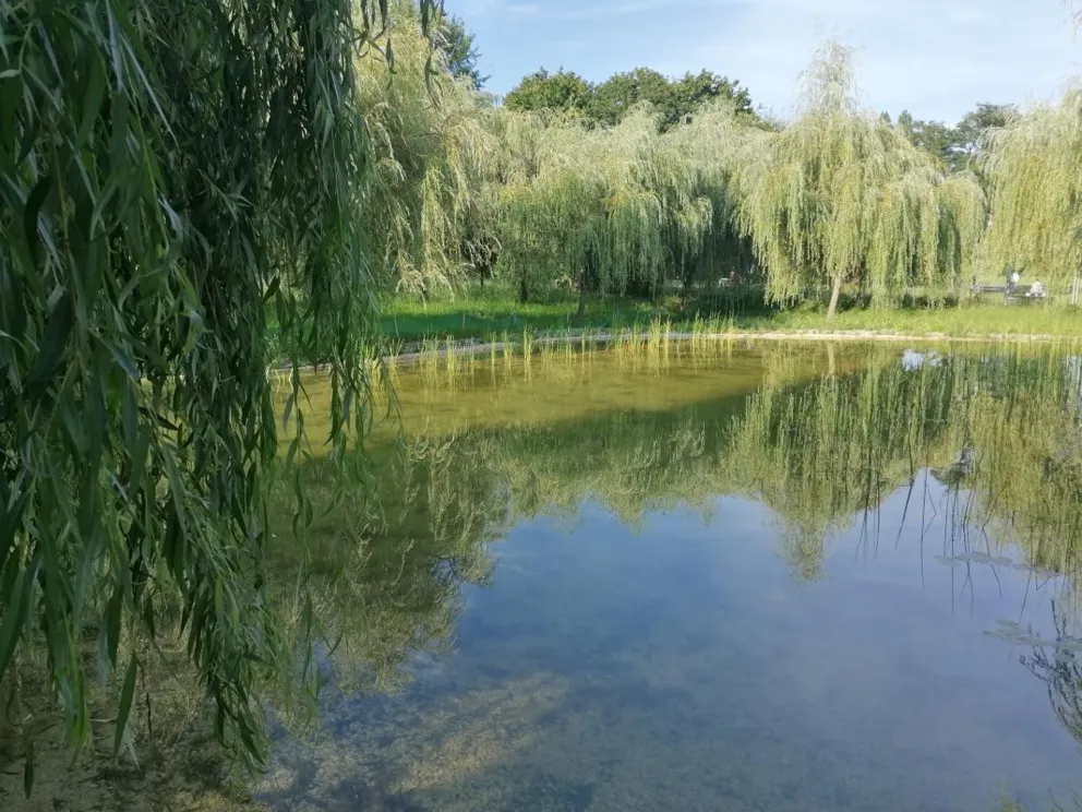 Zalew Nowohucki i Nowa Huta w fotografii Tomasza Wąsika