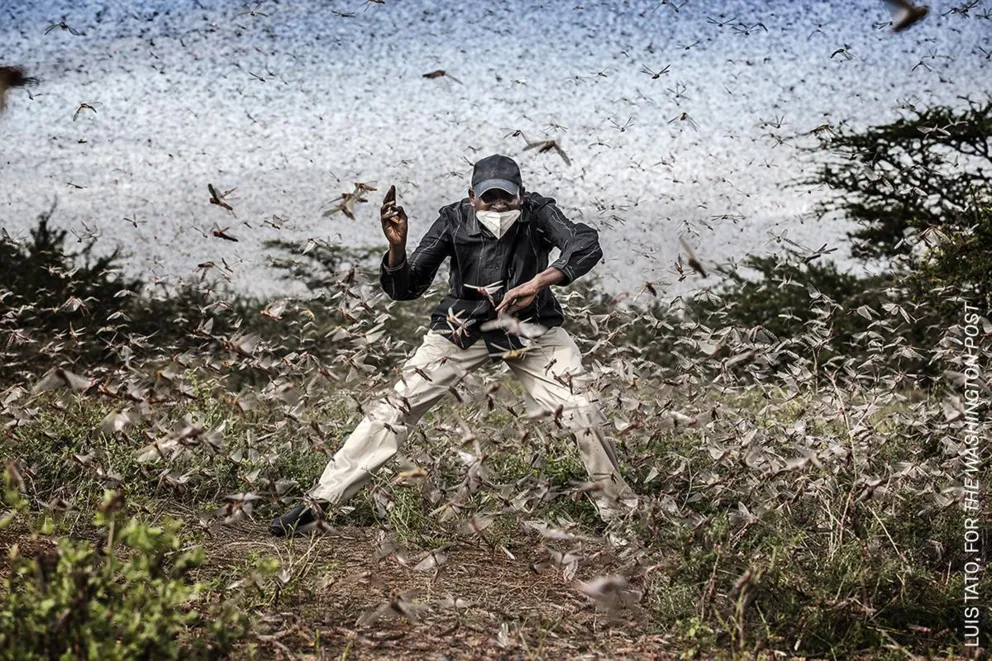 64. edycja World Press Foto dostępna w Krakowie