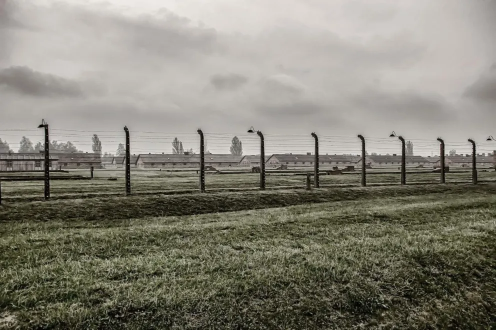 Młodzież z technikum leśnego pomogła Muzeum Auschwitz