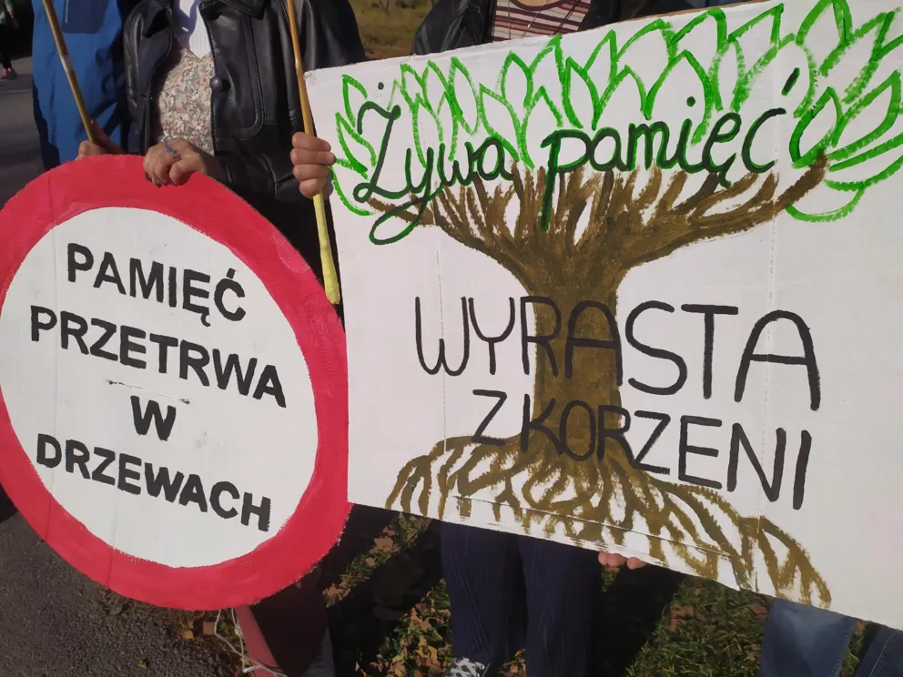 Kraków: zawiadomienie do prokuratury w sprawie wycinki terenie byłego obozu KL Plaszow