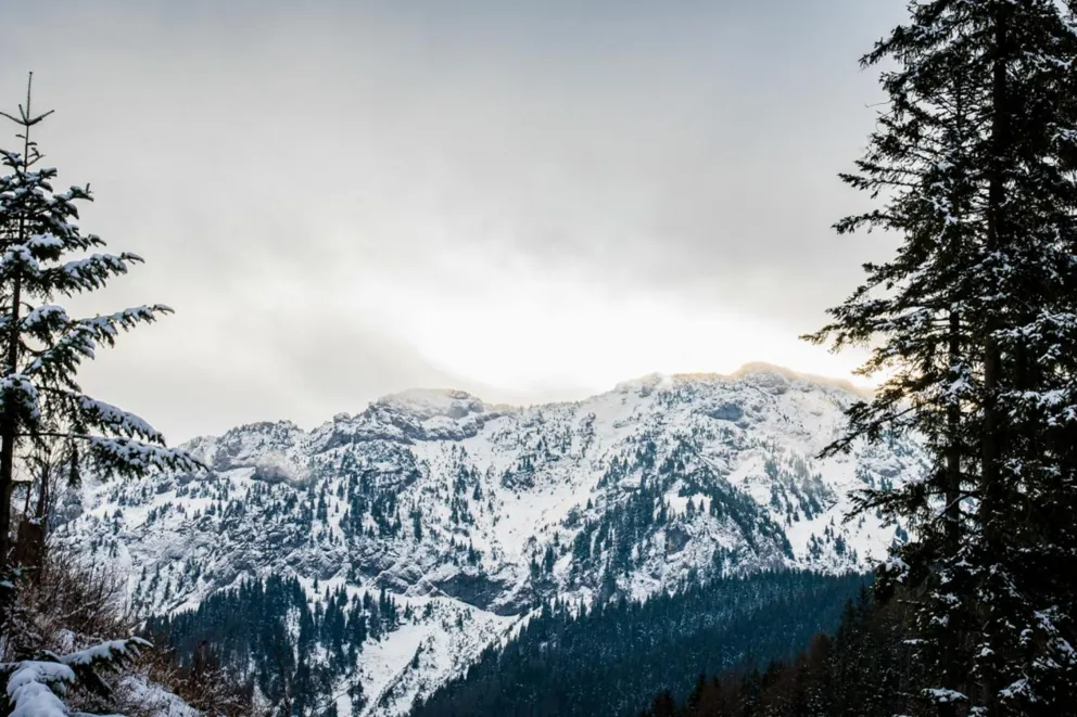 Z radiowej bibiolteki: „Chodząc w Tatry”