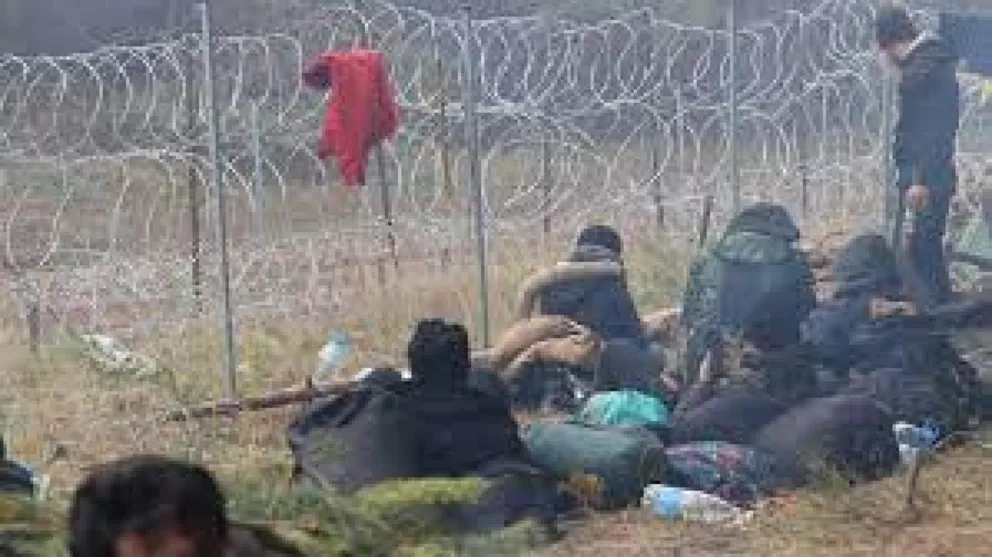 Historie z lasu wchodzą do domu