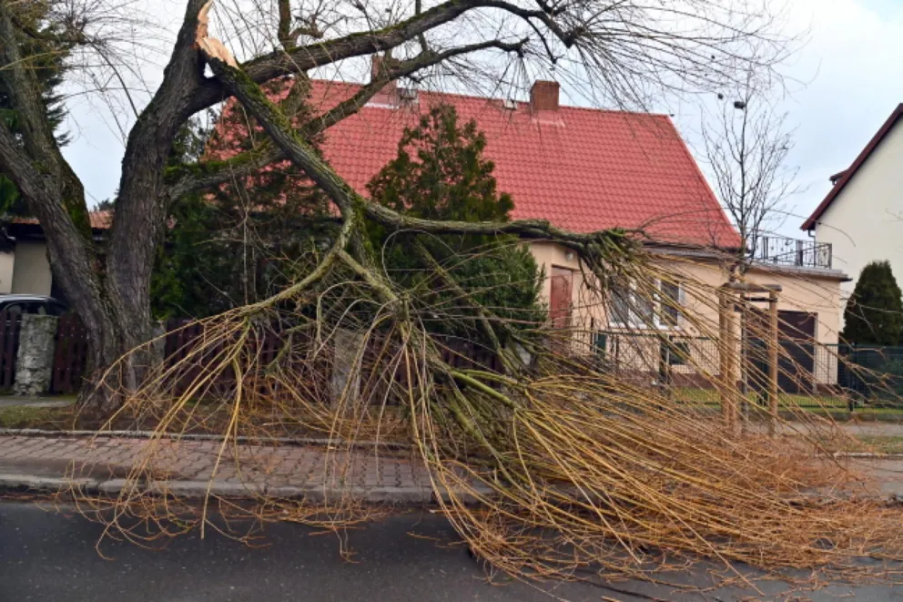 Gorliccy strażacy mieli pracowitą niedzielę, interweniowali kilkadziesiąt razy