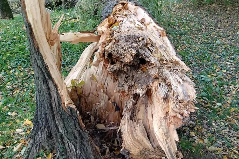 Silny wiatr uszkodził 5 dachów w powiecie gorlickim