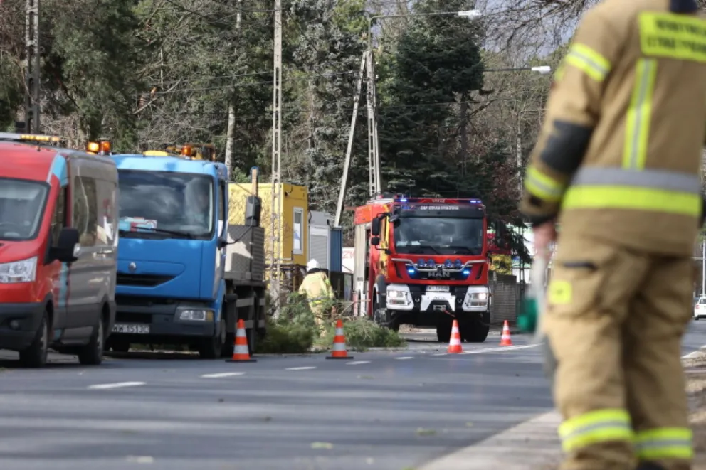 RCB: 4 osoby zginęły w wichurach. W Małopolsce ostrzeżenie I stopnia przed silnym wiatrem