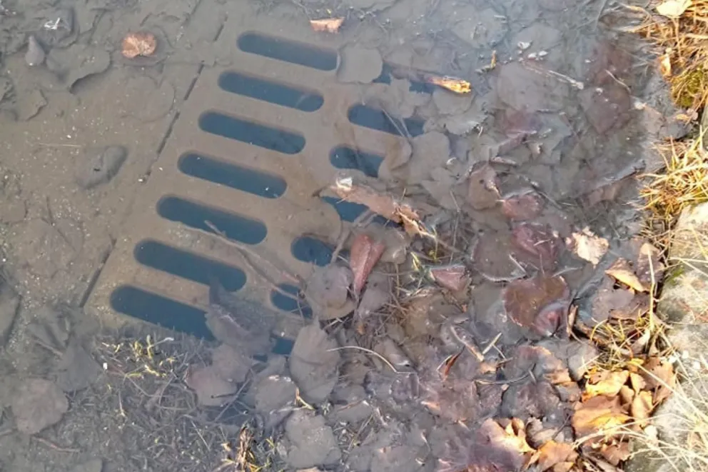 Strażacy apelują o sprawdzanie przydomowych przepustów oraz kratek burzowych