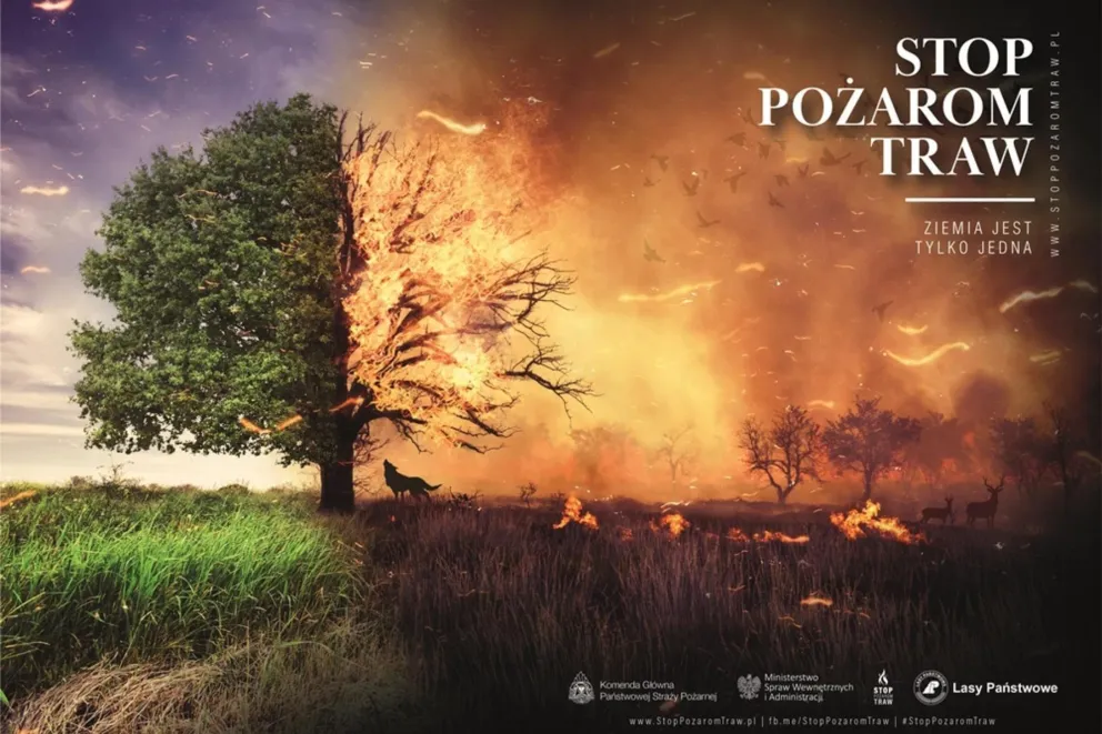 W ostatni weekend gorliccy strażacy wyjeżdżali 15 razy do pożarów suchych traw
