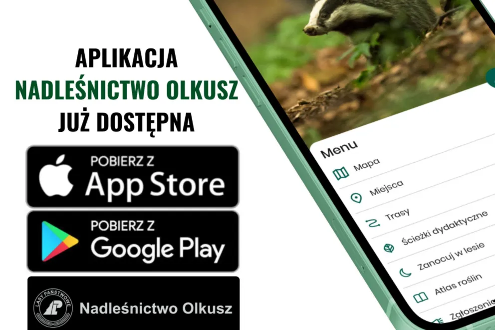 Lasy w okolicach Olkusza można zwiedzać ze specjalną aplikacją