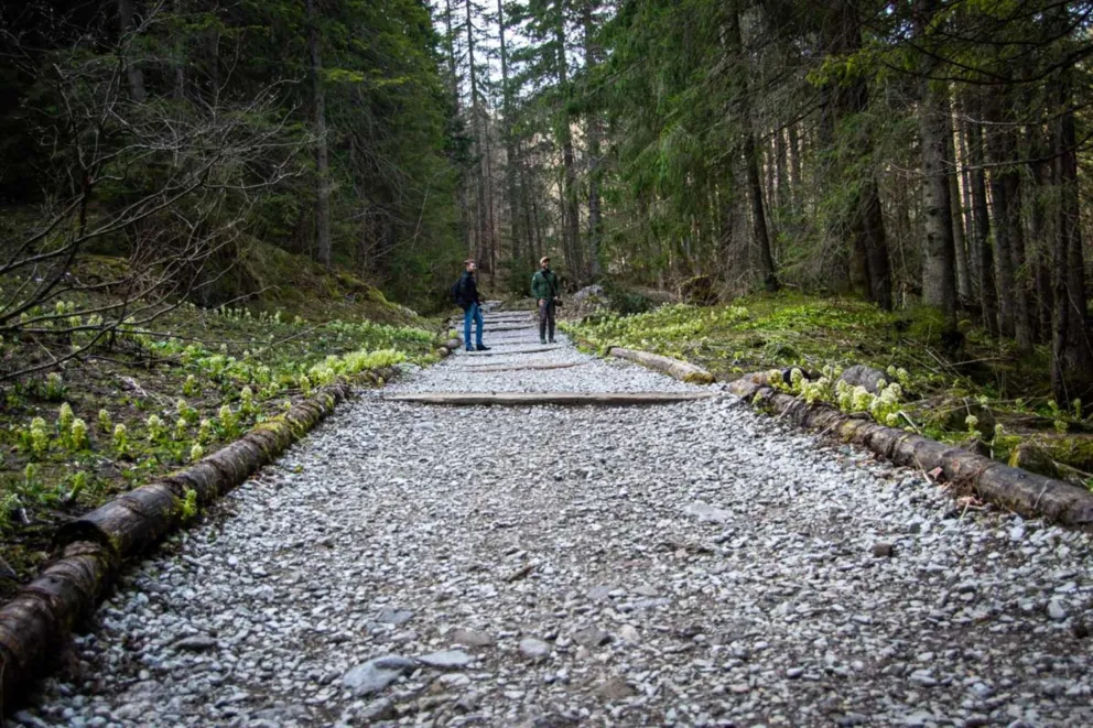 W programie Majówka na Luzie wyruszyliśmy w Tatry. ZDJĘCIA